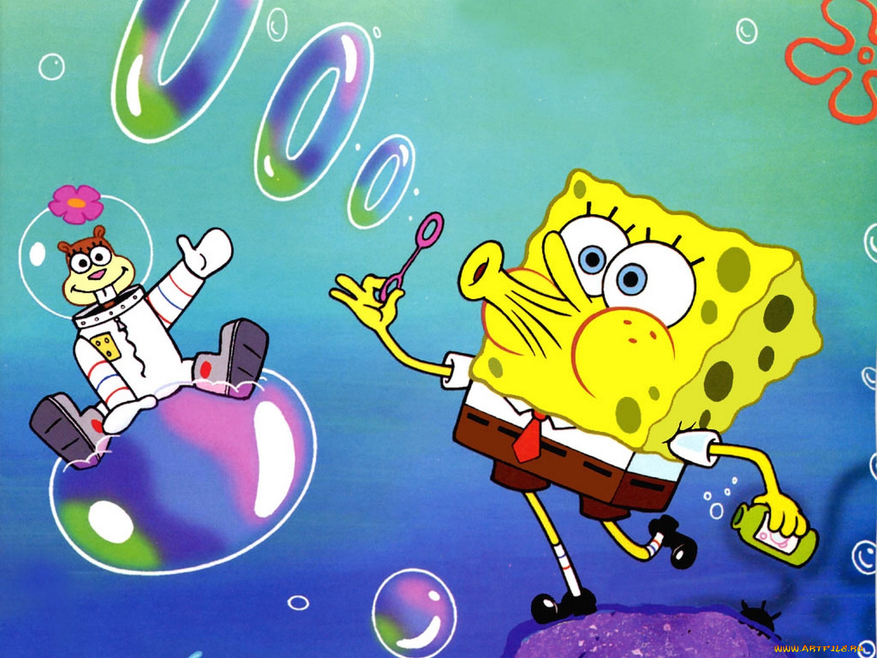 , spongebob, squarepants